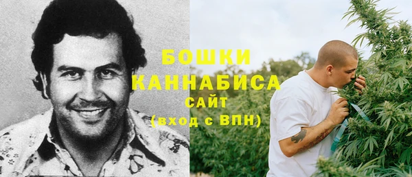 apvp Богородицк