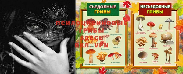 дживик Бугульма