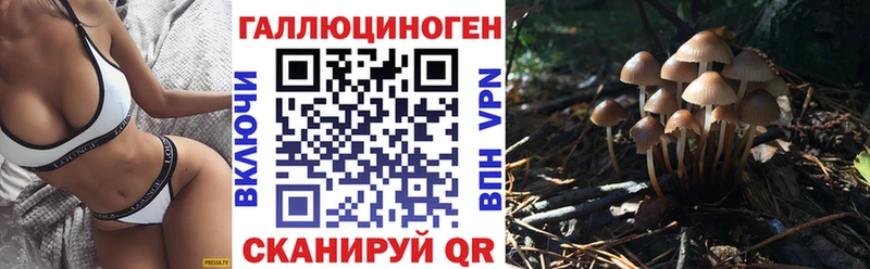 мега как зайти  где продают наркотики  Бугульма  Псилоцибиновые грибы MAGIC MUSHROOMS 
