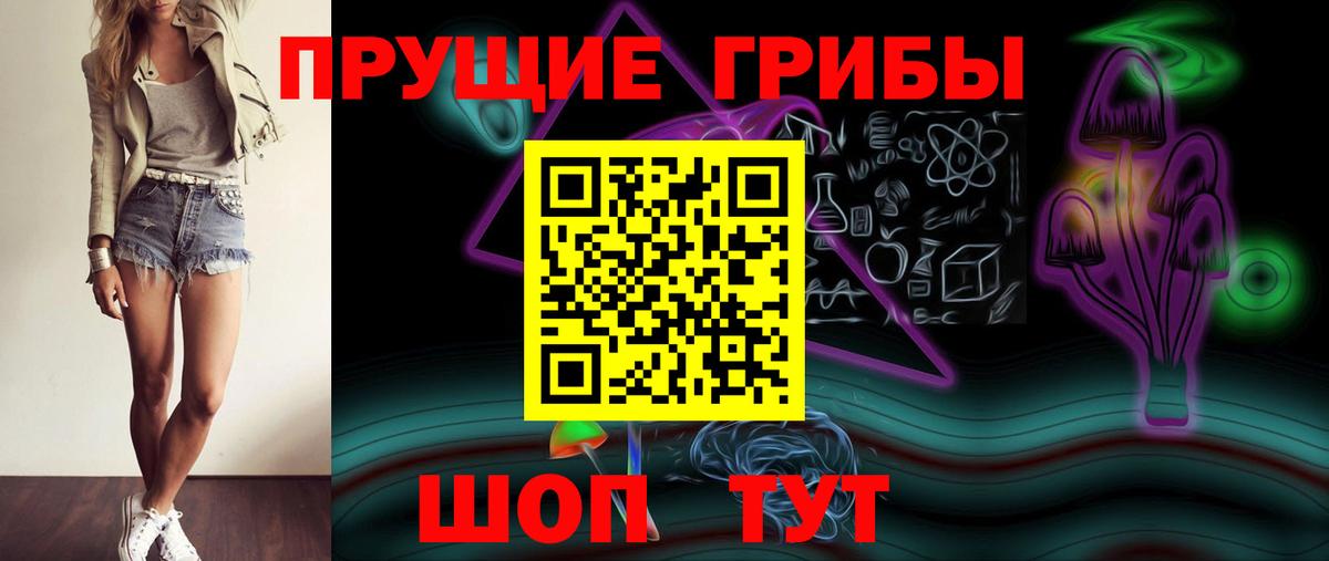 закладки  Вход с VPN  Бугульма  Псилоцибиновые грибы Psilocybine cubensis 